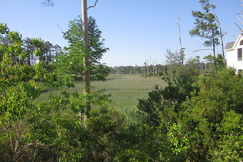 Rivers Edge Rental 10